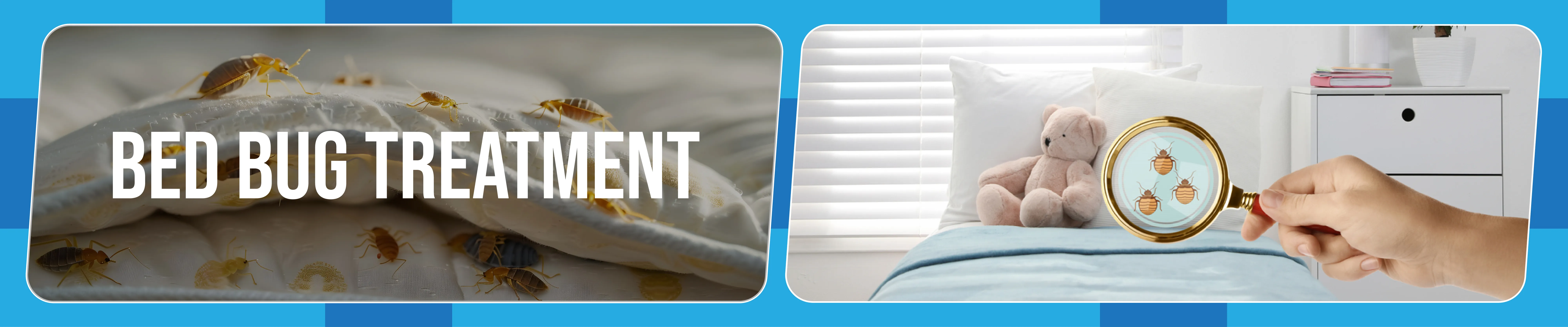 carpet cleaning in queens, carpet cleaning queens, carpet cleaners in queens, carpet cleaners in queens, commercial carpet cleaning, commercial carpet cleaning in queens, queens rug cleaners, rug cleaning services in queens, same day carpet cleaning, same day rug cleaning in queens