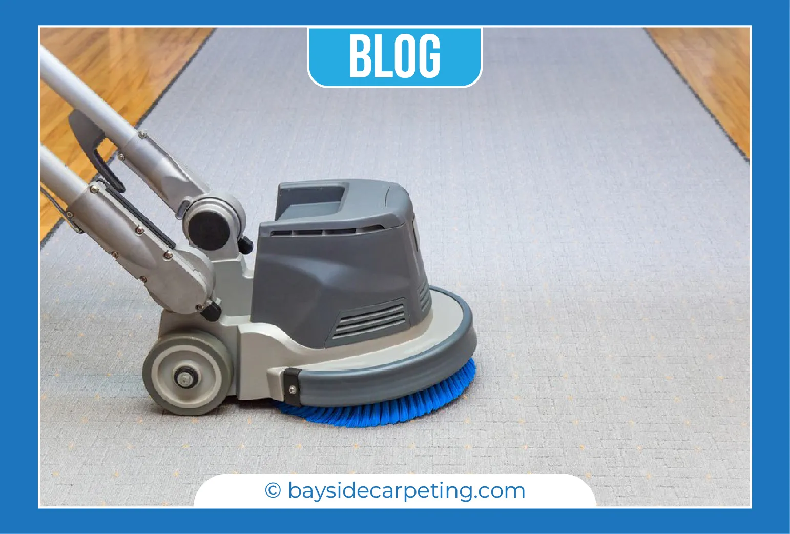 carpet cleaning in queens, carpet cleaning queens, carpet cleaners in queens, carpet cleaners in queens, commercial carpet cleaning, commercial carpet cleaning in queens, queens rug cleaners, rug cleaning services in queens, same day carpet cleaning, same day rug cleaning in queens