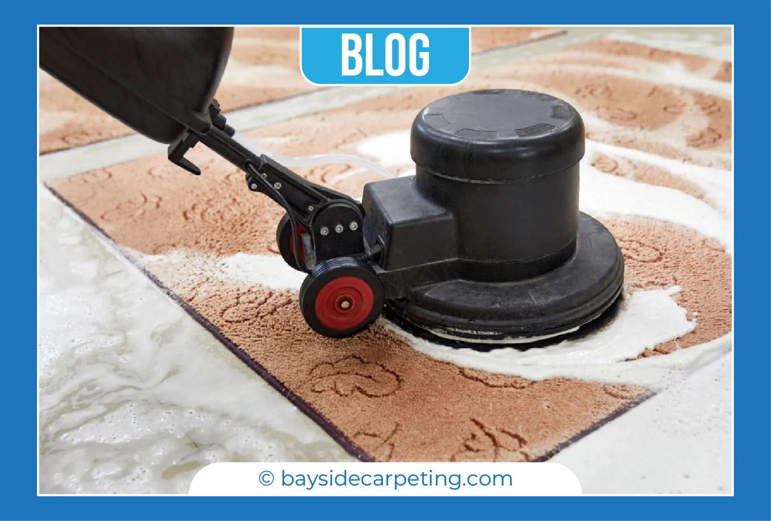 carpet cleaning in queens, carpet cleaning queens, carpet cleaners in queens, carpet cleaners in queens, commercial carpet cleaning, commercial carpet cleaning in queens, queens rug cleaners, rug cleaning services in queens, same day carpet cleaning, same day rug cleaning in queens