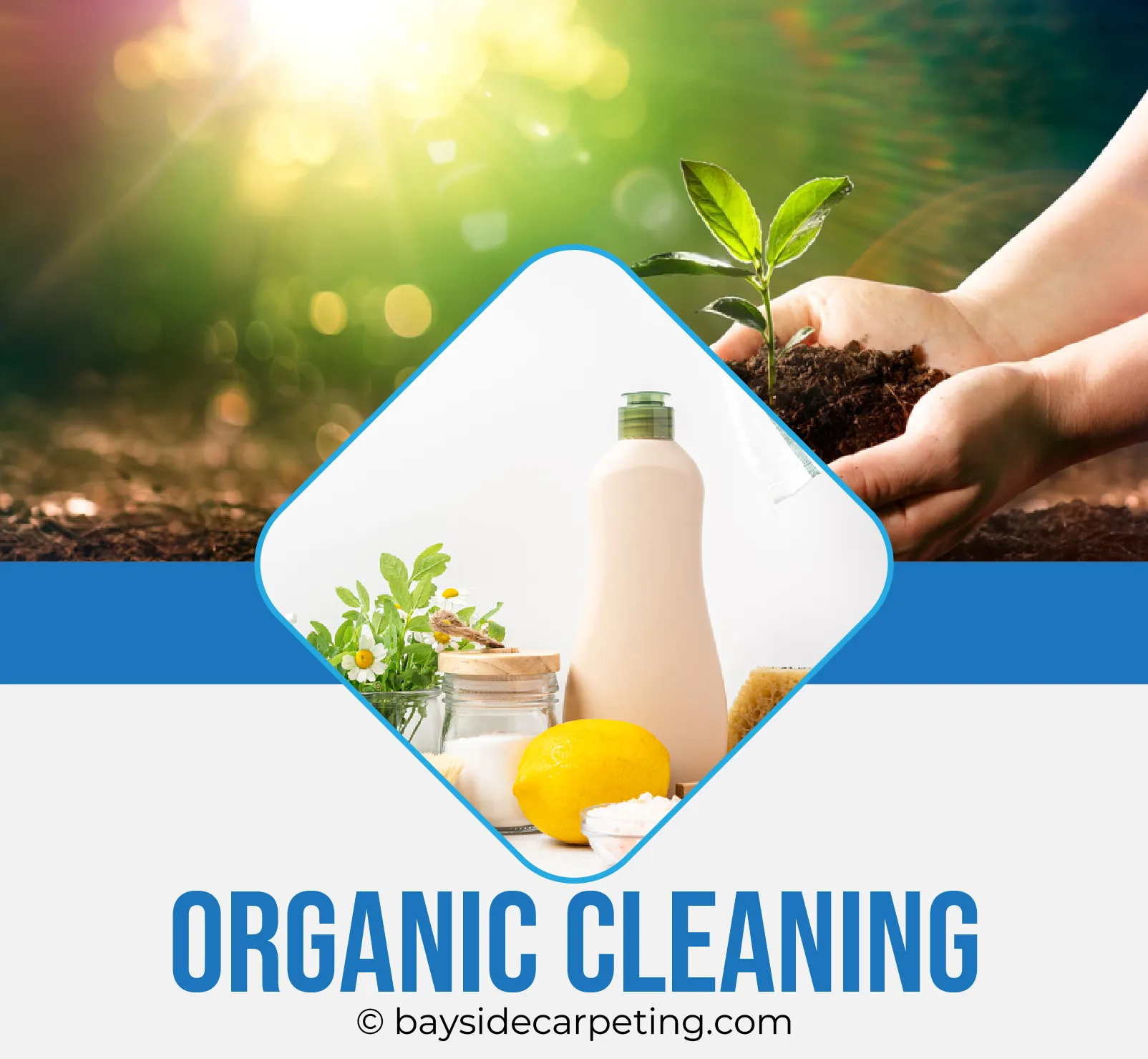 carpet cleaning in queens, carpet cleaning queens, carpet cleaners in queens, carpet cleaners in queens, commercial carpet cleaning, commercial carpet cleaning in queens, queens rug cleaners, rug cleaning services in queens, same day carpet cleaning, same day rug cleaning in queens